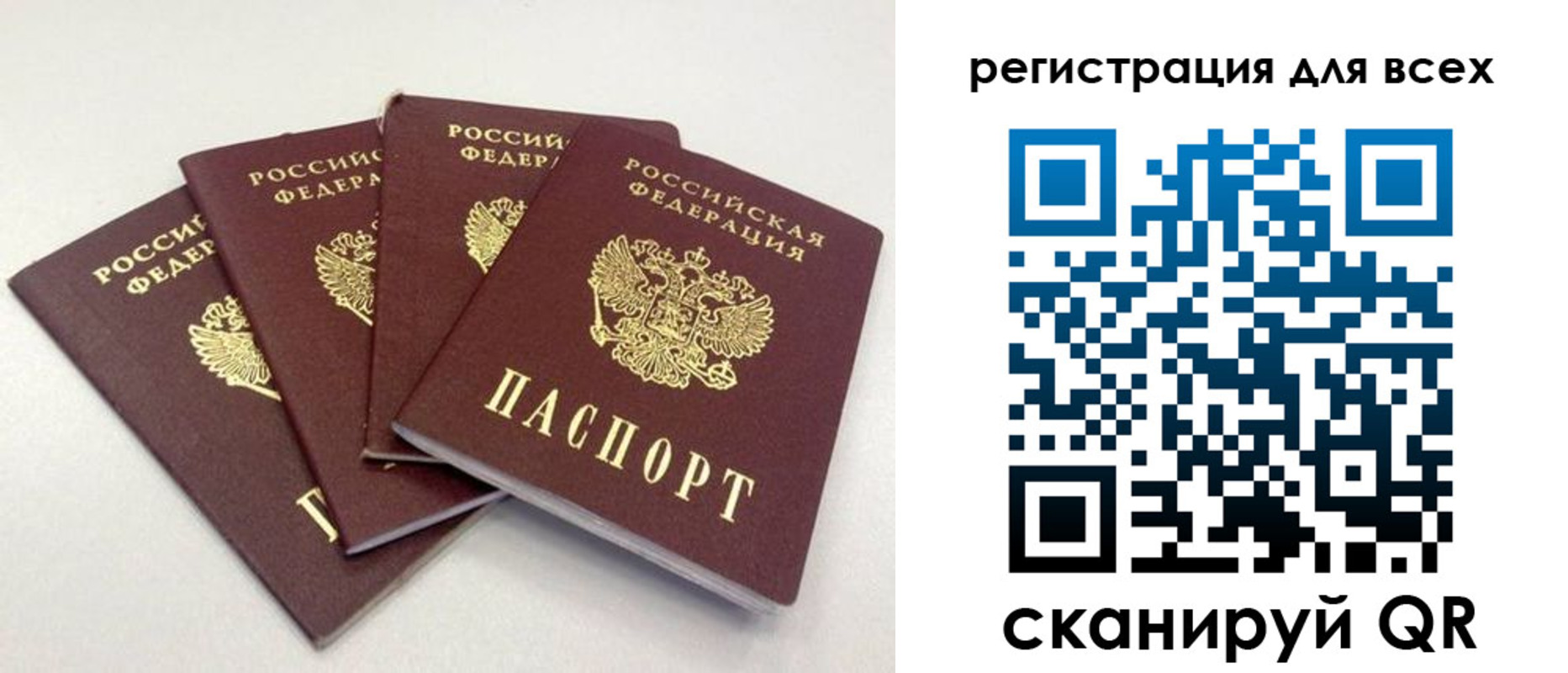 прописка законно в Заринске
